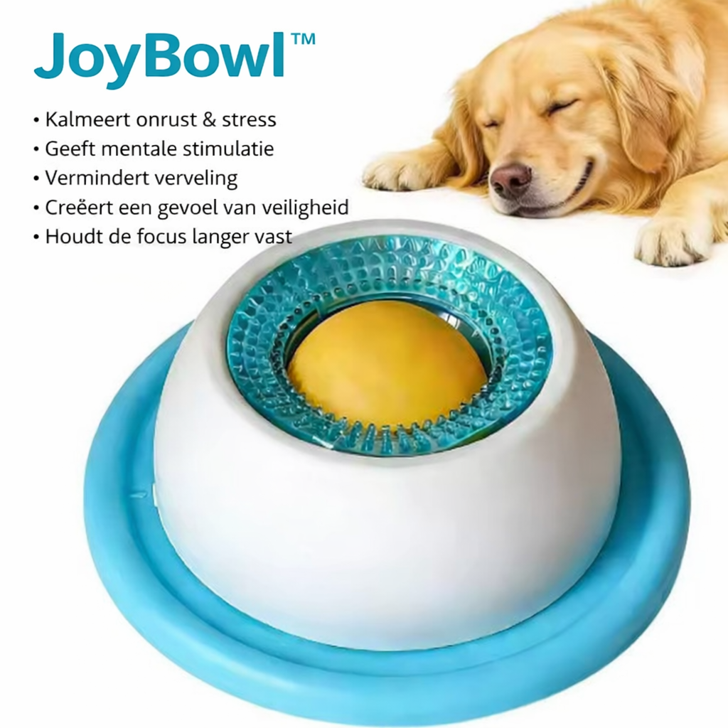 Μπολ φαγητού για κατοικίδια