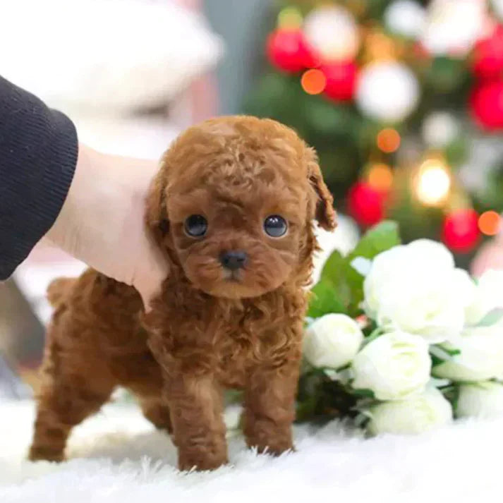 Ρεαλιστικός Σκύλος Ρομπότ